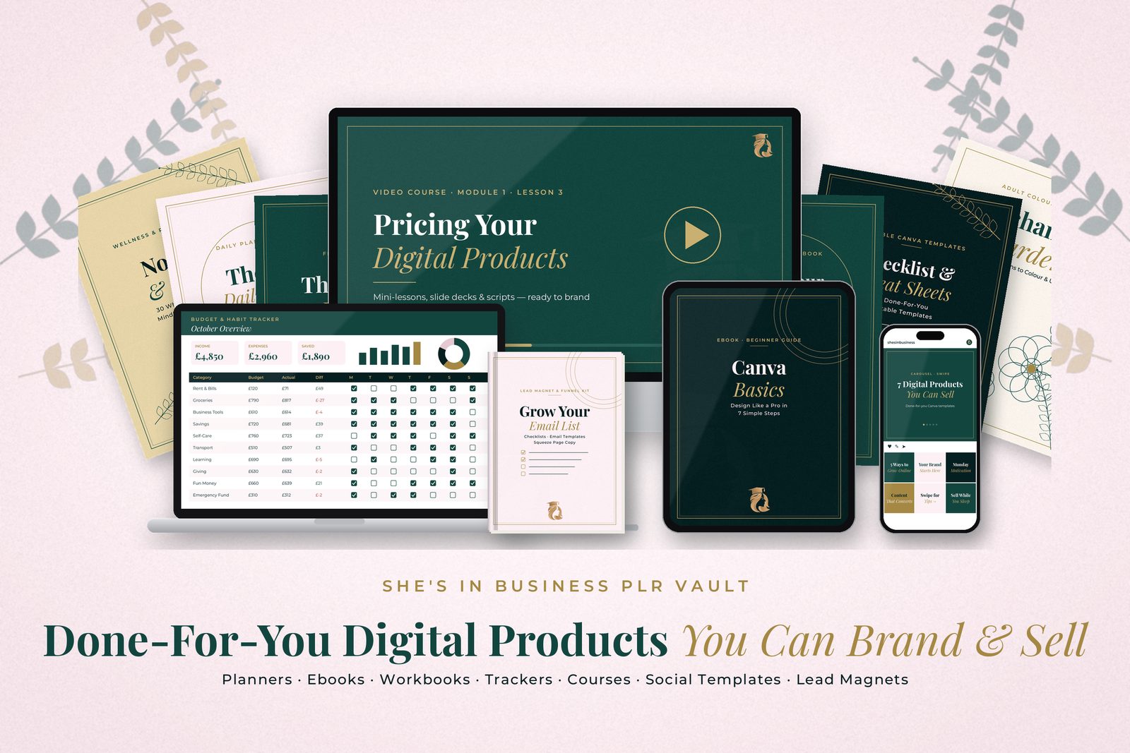 She's In Business PLR Vault digital products